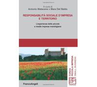 Responsabilità sociale d'impresa e territorio. L'esperienza delle piccole e medie imprese marchigiane