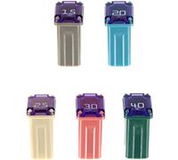 Restagraf 17991 Fusibile, Set da 5