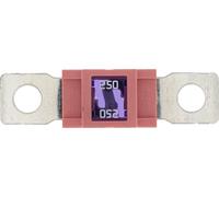 RESTAGRAF 225092 Scatola fusibili