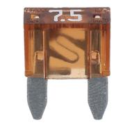 RESTAGRAF 306842 Fusibile