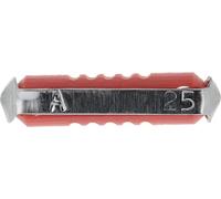 RESTAGRAF 6884 10x Fusibile