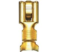 Restagraf Capocorda Piatto Nudo Femmina per connettore Standard Nylon in Sacchetto, 6,35 mm x 0,8 mm, 2,6 a 6 mm2, Confezione da 30