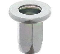 Restagraf Dado a crimpare Acciaio Fusto Esagonale per Veicoli Fiat, M6-1.00, 0,8-1 mm, Spessore lamiera, Lotto di 12