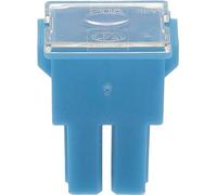 Restagraf Fusibile Giapponese, Femmina, Tipo AS, 20A, Blu Chiaro