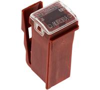 Restagraf Fusibile Giapponese in Busta, Femmina, Tipo D, 25A, Marrone