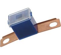 Restagraf Fusibile giapponese in sacchetto, maschio, tipo C, 100A, blu