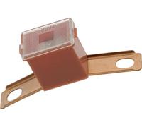 Restagraf - Fusibile Maschio Giapponese Tipo C - Protezione Circuito Elettrico da 30 A - Per Automotive e Industria - Rif. 225071 - Blister da 1