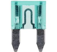 Restagraf Fusibile piatto mini in sacchetto, 32 V/30 A, verde
