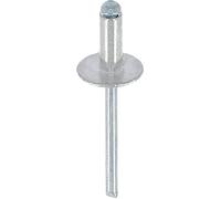Restagraf - Rivetto a Testa Larga in Alluminio e Asta in Acciaio - Compatibile con Audi A4, Dacia Logan I, SANDERO I, Renault Modus - Diametro 4,8 mm - Lunghezza 12 mm - RIF. 4103 - Confezione da 250