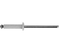 Restagraf Rivetto sbocciato in sacchetto per targa di immatricolazione, 4-11 mm di spessore, 16 mm di lunghezza, bianco, confezione da 52