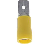 Restagraf Terminale Piatto Pre-Isolato Maschio, Rinforzato, in Scatola, 6,35 x 0,8 mm, da 2,6 a 6 mm², Confezione da 100