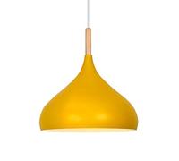 Restaurant Ceiling Light Shade LED Single Head Hollow Pendant Lamp Kitchen Island Bohemian Hanging Lights Household European Chandelier Ceiling Lights for Living Room Kitchen Hallway
