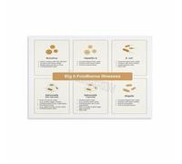 Restaurant Kitchen Poster Food Guidelines Hygiene Chart Educational Wall-Art Canvas Print for Culinary School Office(Framed,12x18inch(30x45cm))