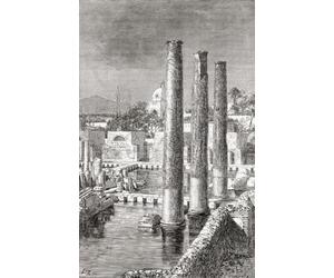 Resti del Macellum di Pozzuoli Italia meridionale Dall'Universo o L'Infinitamente Grande e l'Infinitamente Piccolo pubblicato 1882. Stampa poster di Ken Welsh (11 x 18)