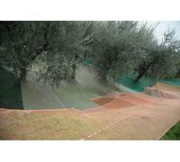 Rete 33gr Mt 10x10 Tagliata C/bordino Verde Con Apertura Centrale Per Inseriment