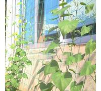 Rete a traliccio da giardino per piante rampicanti, per migliorare la crescita e aumentare la resa delle colture, con polietilene (3,6 x 1,8 m)