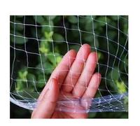 Rete Anti Piccioni invisibile, Rete Anti Uccelli Protettive da Giardino Rete Antigrandine Giardino Maglia Adatto a Tutti Tipi di Giardini Recinzioni Frutteti (Color : 2.5cm, Size : 3mx15m)