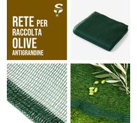 Rete Antigrandine Liguria Raccolta Olive Frutteti Varie Misure