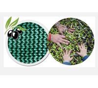 Rete Antispina Per Raccolta Olive Con Apertura 8x8 Metri