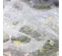 Rete da giardino per ortaggi e alberi da frutto, rete di protezione per grandine, 3 x 40 m, rete di protezione per piante contro insetti cts