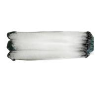 Rete Da Pesca Branchiale Con Galleggiante Portatile Con Galleggiante