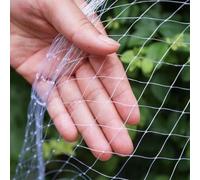 Rete di protezione per gatto per balcone, anti-uccelli e piccioni, in nylon forte resilienza, protezione da giardino (10 x 10 m/trasparente)