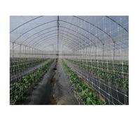 Rete di Sostegno per Ortaggi Rampicanti - Resistente e Facile da Installare - Ideale per Pomodori, Cetrioli, Piselli, Fagioli e Piante da Orto (Varie Misure) (2x100)