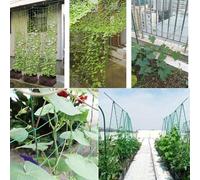 Rete di supporto per piante rampicanti, per una migliore gestione del giardino e successo delle colture
