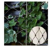 Rete in corda in acciaio inossidabile 304, resistente ai raggi UV, rete decorativa per piante rampicanti, spessore 1,5 mm, 2 x 4 m, rete di supporto da giardino