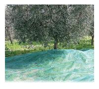 RETE OLIVE ANTISPINA MT. 6X12