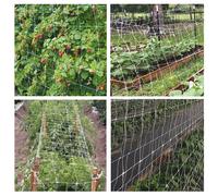 Rete ortofrutta in polipropilene Sostengreen