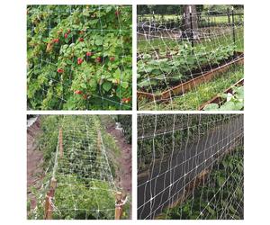 Rete ortofrutta in polipropilene Sostengreen