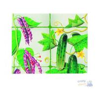 RETE PAPILLON VERDE PER PISELLI MAGLIA cm 17x15 MT 1,5x10