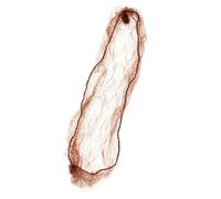 Rete per capelli invisibile per chignon, per donne, dall'aspetto naturale, traspirante, rete per capelli in nylon per parrucche e acconciature elastiche