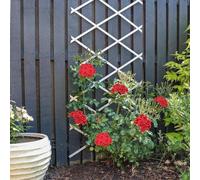 Rete per esterni estensibile, pannelli decorativi, rampicanti da 9,06 x 14,96 pollici, supporto da giardino multiuso per edera, rose e cetrioli, decorazione da parete e recinto