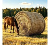 Rete per Fieno Rotonda 5x5 ft, Alimentatore Lento per Cavalli e Bestiame | Alimentatore senza nodo, Bale rotonde Cavalli, reti di alimentatore a foro da 1,5 pollici per cavalli, capre e bestiame