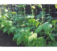 Rete Per Ortaggi Bianca Confine 1,2x30 Metri Confine Giardinaggio e agricoltura