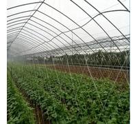 Rete per Piante, Rete di Supporto per Piante da Giardino in HDPE | 6-Fili, Maglia Da 25×25 cm, Diverse Dimensioni per Cetrioli, Pomodori, Ortaggi Rampicanti(8x100m/26.24x328.00ft)