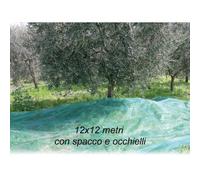 Rete per Raccolta Olive 12x12 mt con Spacco Occhielli Telo Antispina Polietilene