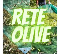 Rete per raccolta olive, mandorle, noci e castagne Antispine 4x8 metri