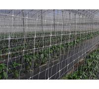 RETE PER RAMPICANTI SOSTENGREEN HL.135 ROT. ML 100 FRA 396020