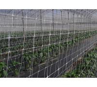 RETE PER RAMPICANTI SOSTENGREEN HL.170 ROT. ML.100 FRA 396030