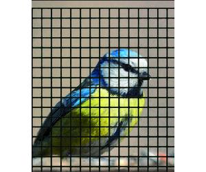 Rete Per Recinzioni Plastica Maglia 12x12 mm H 50 cm - Nero Confine Prodotti sid