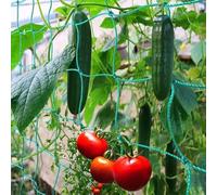 Rete per tralicci di alta qualità, 2,5 x 2 m, per cetrioli e pomodori, robusta griglia con 10 clip, 20 legamenti per piante + nastro da 20 m, resistente ai raggi UV, ideale per serra, balcone e aiuola