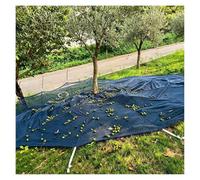 Rete raccoglifrutta in HDPE sotto l'albero | Dimensioni multiple for la raccolta dei frutti caduti delle prugne delle noci(Round-23x23ft(7x7m))