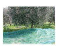 CONFINE - RETE PER OLIVE ANTISPINE MT. 4X6