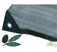 RETE RACCOLTA OLIVE MT10X12 ANTISPINA INTERA 85 GR/MQ ANGOLI RINFORZATI OCCHIELL