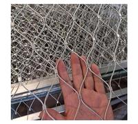 Rete rampicante in acciaio inox 304, recinzione di supporto per piante, barriera di sicurezza da giardino per campi da calcio, zoo, balconi (1,5 x 1,5 m) - durevole e versatile
