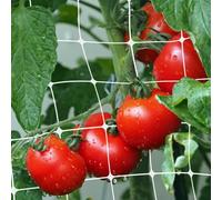 Rete Rampicanti Orto Bianca Supporto Fiori Piante che Crescono Verticali Rete PVC A Maglia Larga 14x16cm ideale Coltivazione Pomodori Piselli Fagioli Cetrioli Impianto Interno Esterno (1x50 metri)