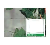 Rete rampicanti per piante orticole 2 x 5 mt FLORA 1A090440